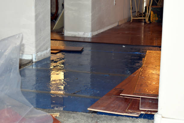 Professional Basement Flood Cleanup technician working in Buhl, MN
